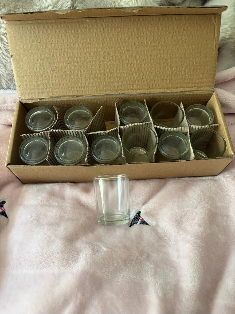 Clear Glass Shot Glass Set - Durable Clear Glasses (Set of 12)